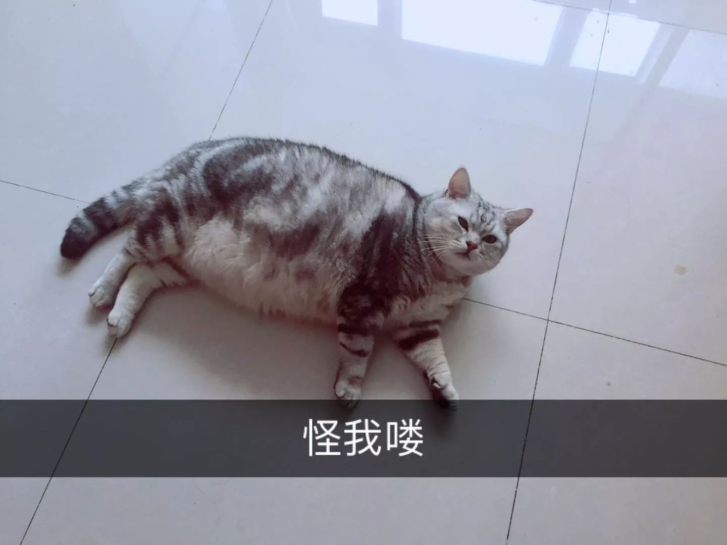 干货|臭臭臭!怎么办?只需2秒,轻轻一喷,彻底告别尴尬!