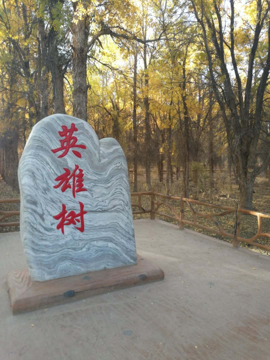 西北胡杨林旅游攻略,大西北环线胡杨林十日游