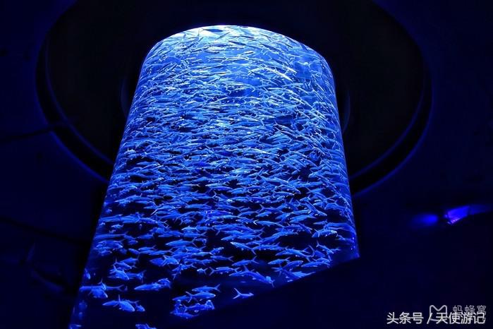 香港7日自由行攻略,香港旅游攻略三日游自由行多少钱