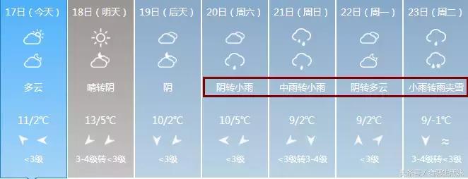 合肥天气昨天大雾情况,特强浓雾来袭全过程