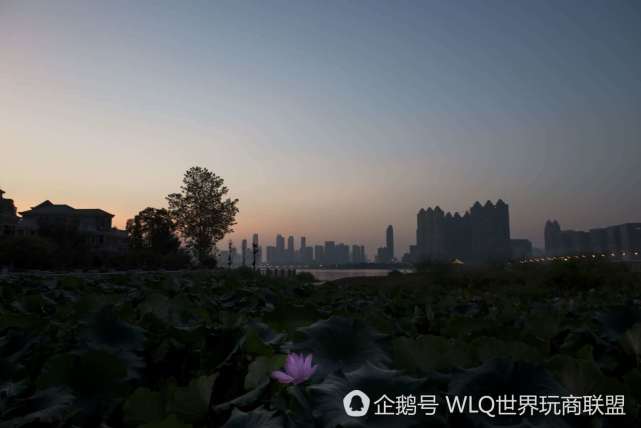 鏍″洯璇椾汉鏁ｆ枃,鏍″洯璇椾汉