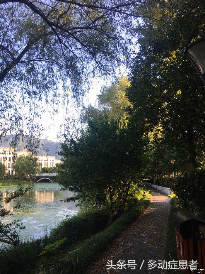 polo真实油耗,polo的油耗实测