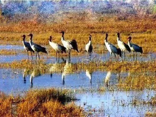 错过了这30个地方，你就相当于辜负了整个贵州！