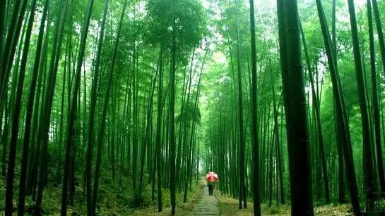 错过了这30个地方，你就相当于辜负了整个贵州！