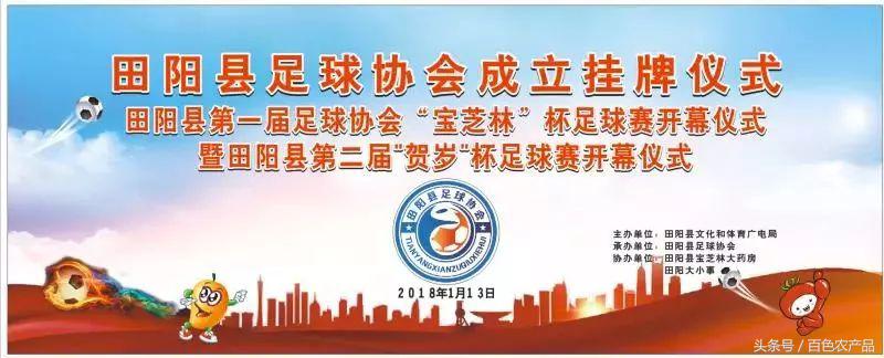 田阳足球队,田阳足球
