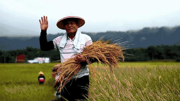 一个恐高的人，高空作业20多年，舍命拍出了最美纪录片