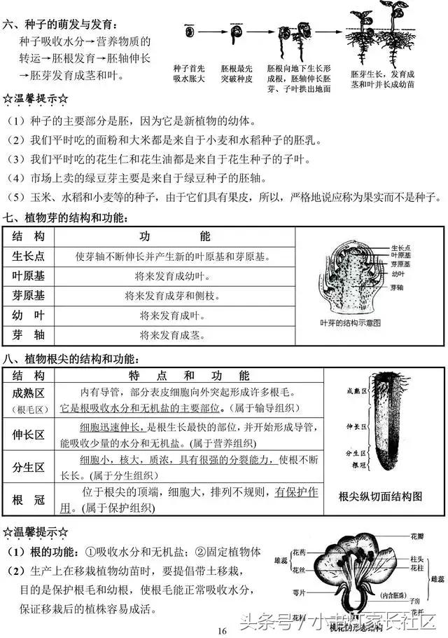 中考生物知识点总复习,中考生物复习要点最新版