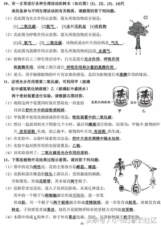 中考生物知识点总复习,中考生物复习要点最新版