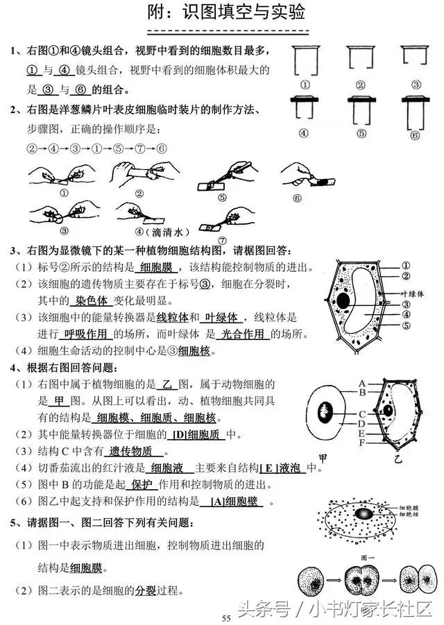 中考生物知识点总复习,中考生物复习要点最新版