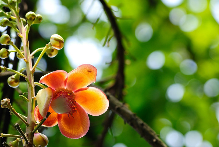 和同事误会了怎么办,跟同事有误会需要化解吗