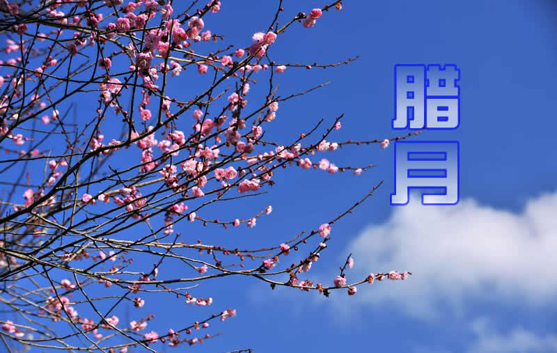 农历十二为何叫腊月,农历十二月为什么叫腊月