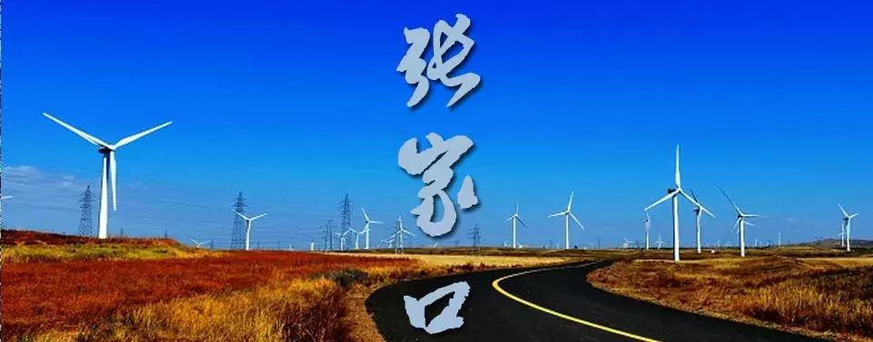 这种花！全国仅有，而且只在春节绽放，比烟花好看100倍！