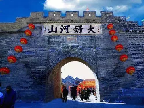 这种花！全国仅有，而且只在春节绽放，比烟花好看100倍！