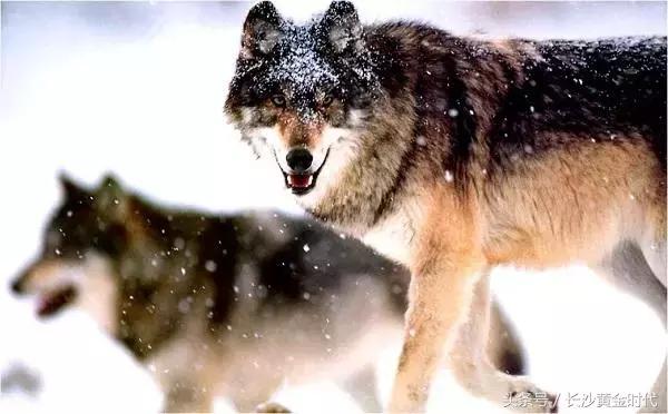 凝团队智慧，聚营销动能——热烈祝贺汉森制药营销年会圆满结束！