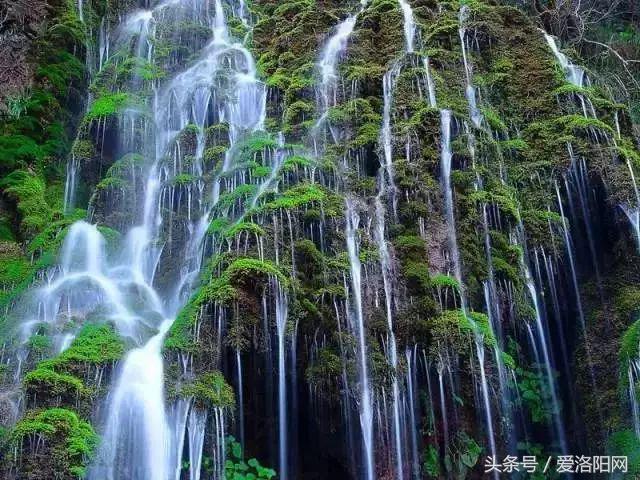 洛阳即将腾飞的县,2022年洛阳最发达的五个县