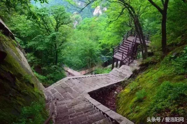 洛阳即将腾飞的县,2022年洛阳最发达的五个县