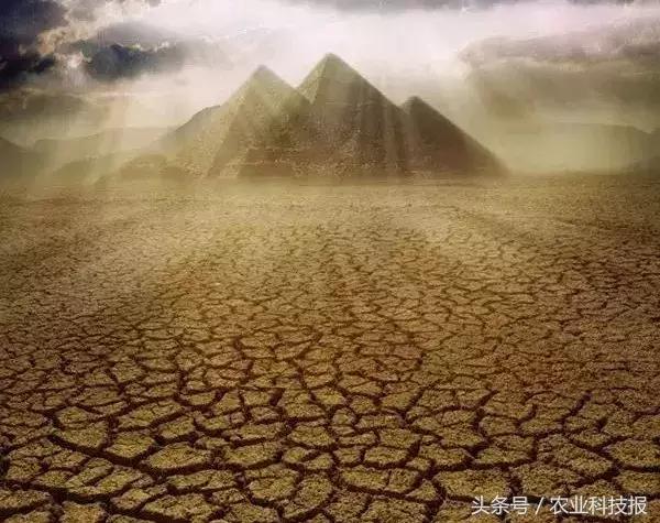 学农技种好地,土壤墒情怎么检测的