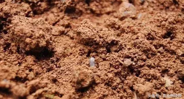 学农技种好地,土壤墒情怎么检测的