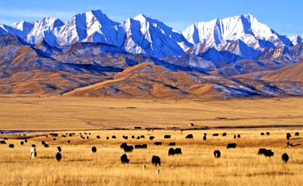 百万英雄出题需要答案么,百万英雄几道题