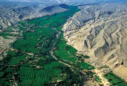 百万英雄出题需要答案么,百万英雄几道题