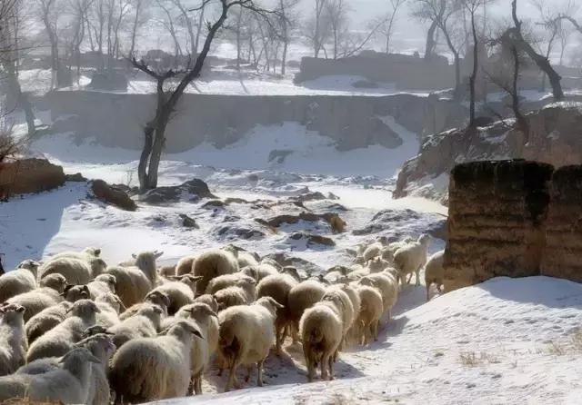 春节自驾山西旅游4-5天详细攻略,2019春节上海出发自驾旅游去哪里