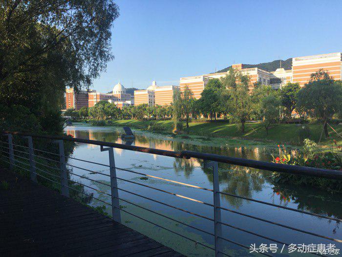 polo真实油耗,polo的油耗实测