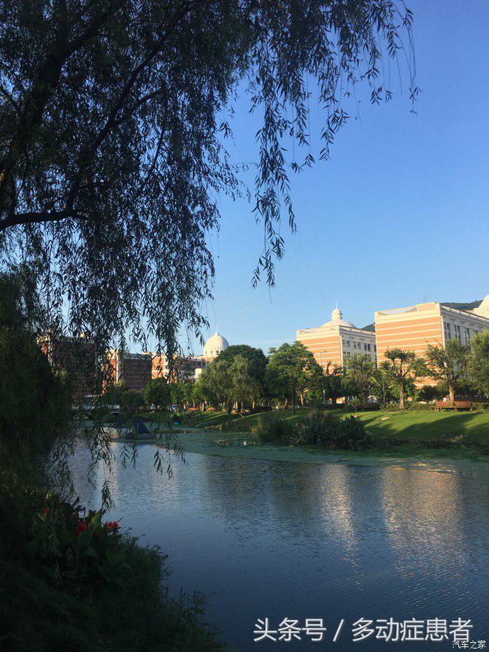 polo真实油耗,polo的油耗实测