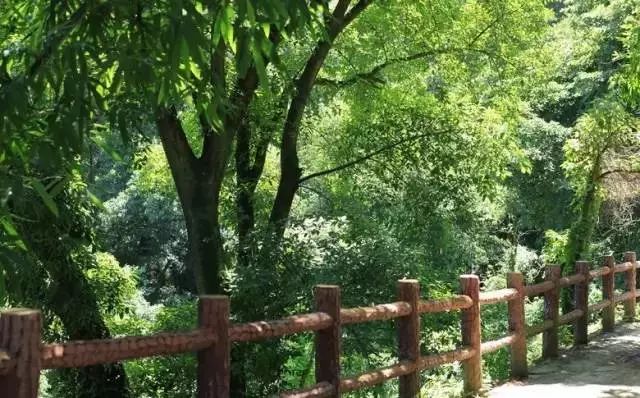 错过了这30个地方，你就相当于辜负了整个贵州！