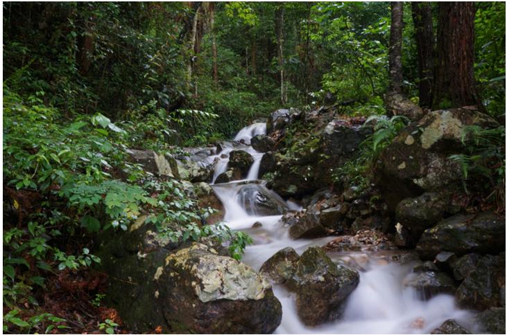 大沩山美景,最美的天柱峰