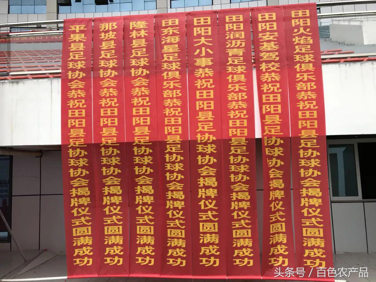 田阳足球队,田阳足球