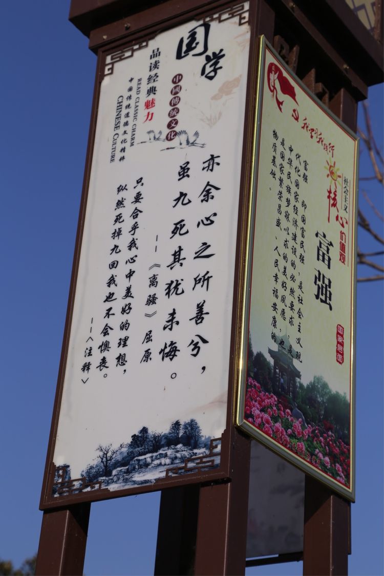 周一漫步隋唐植物园赏桃花,洛阳隋唐植物园春光