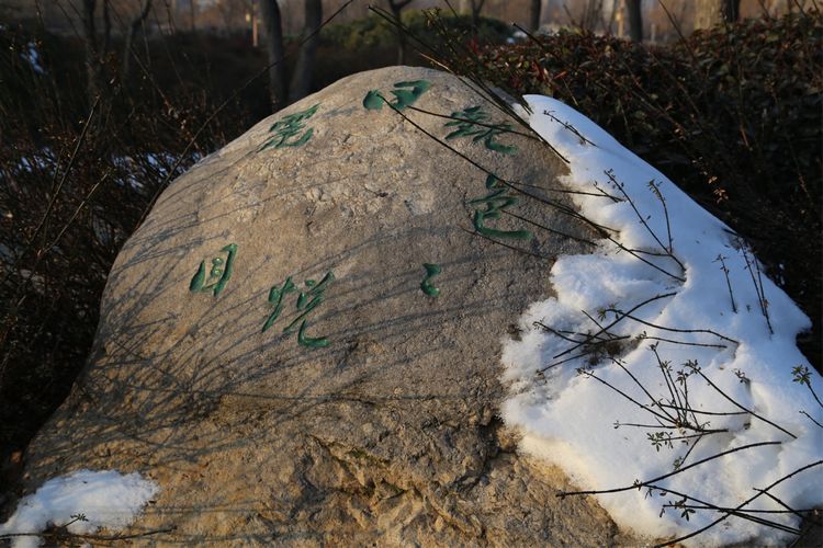 周一漫步隋唐植物园赏桃花,洛阳隋唐植物园春光
