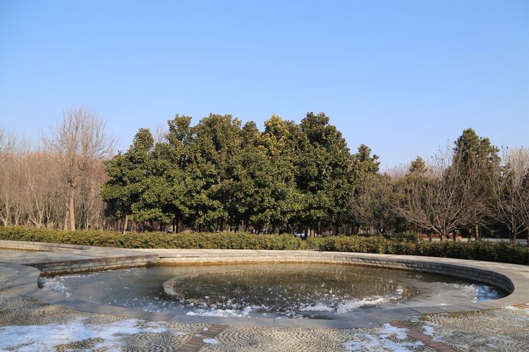 周一漫步隋唐植物园赏桃花,洛阳隋唐植物园春光