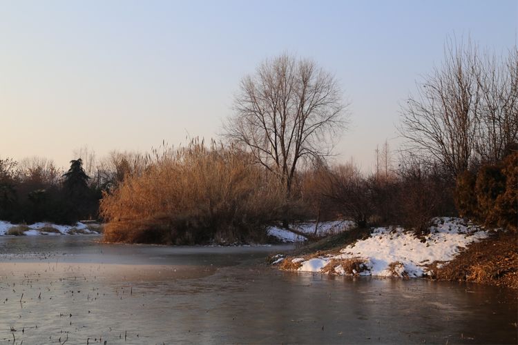 周一漫步隋唐植物园赏桃花,洛阳隋唐植物园春光