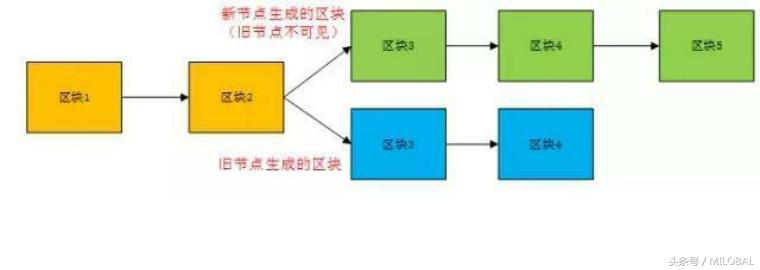 什么是ifo,ifo和imo区别