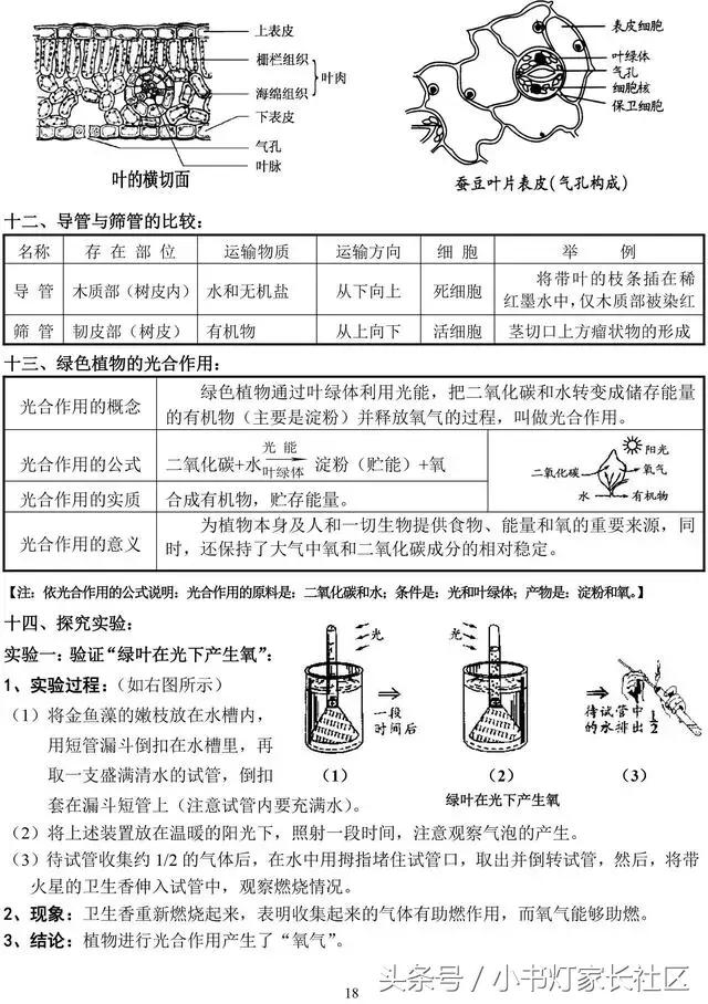 中考生物知识点总复习,中考生物复习要点最新版
