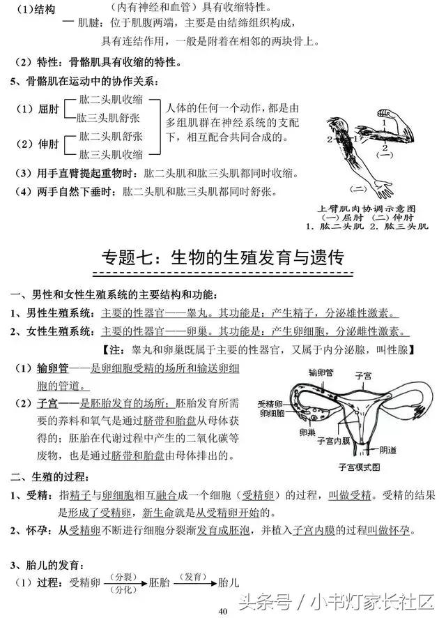 中考生物知识点总复习,中考生物复习要点最新版