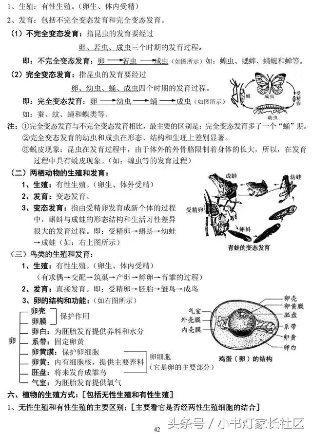 中考生物知识点总复习,中考生物复习要点最新版