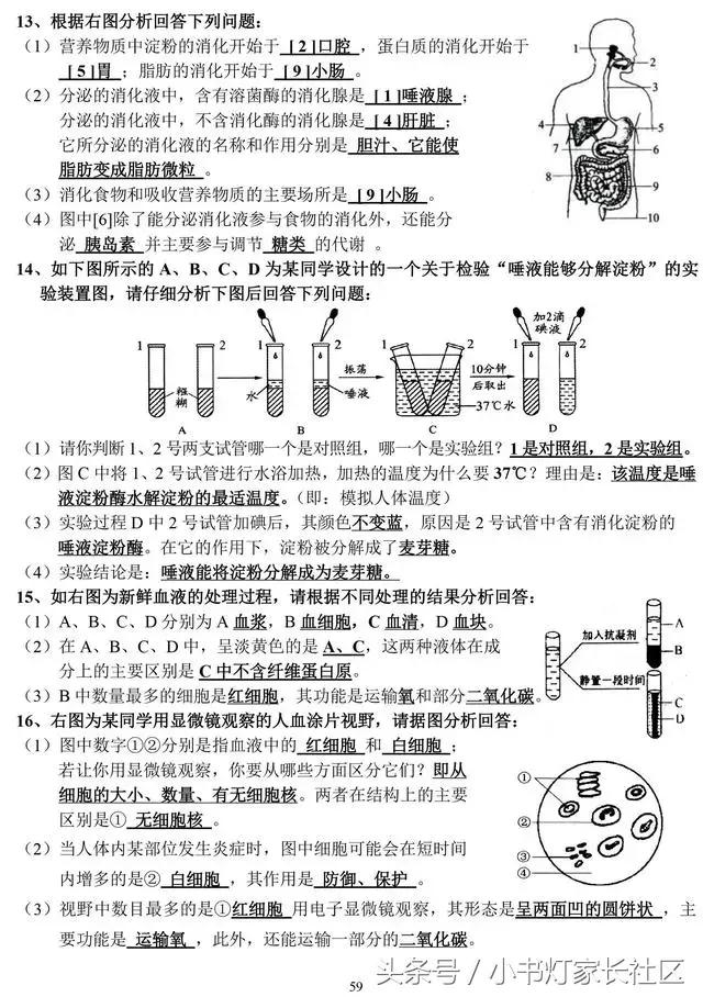 中考生物知识点总复习,中考生物复习要点最新版