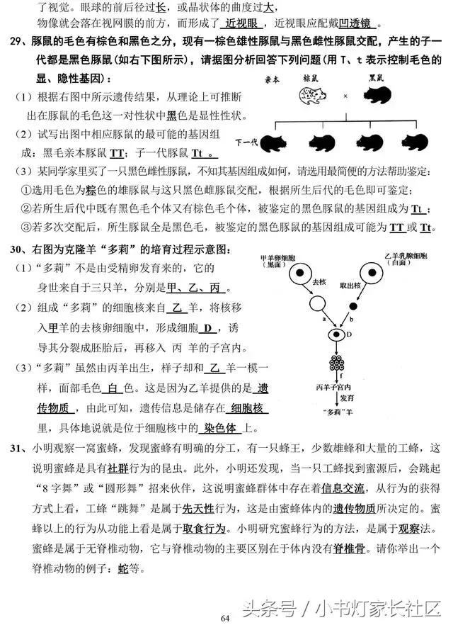 中考生物知识点总复习,中考生物复习要点最新版