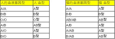 成猫猫咪溶血,猫咪也有血型