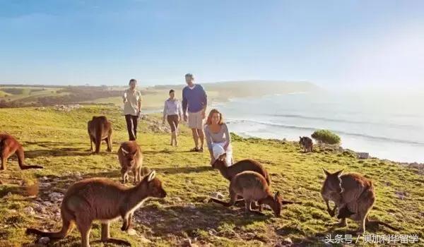 澳洲十大绝美圣地,澳洲旅游必去十大景点