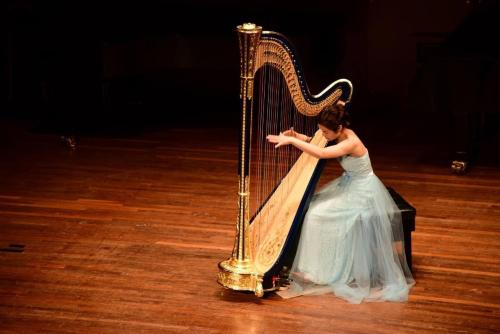 古代箜篌和现代箜篌有什么区别,箜篌和竖琴最大的区别是什么呢