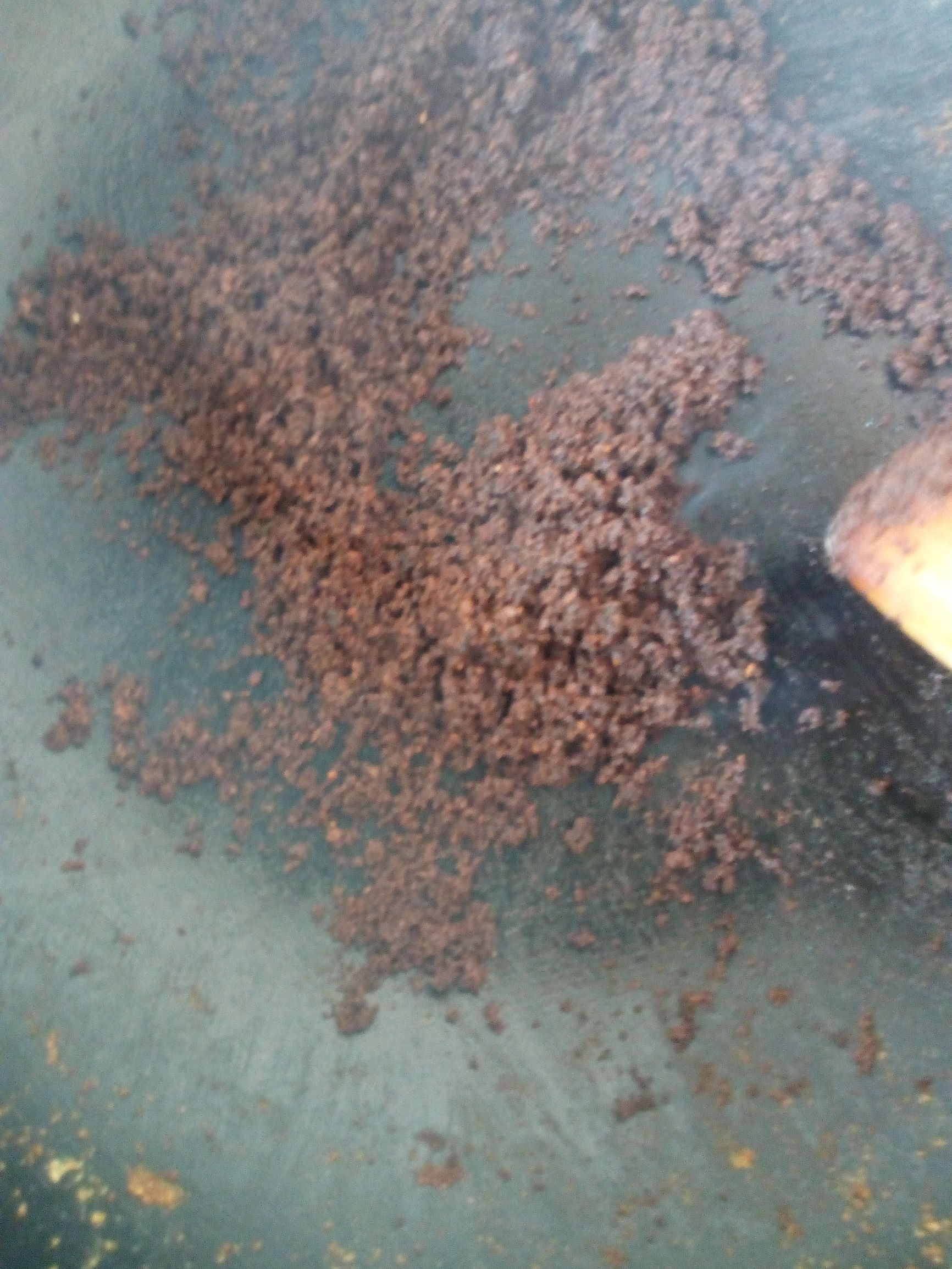 家有宝贝必备自制鸡蛋油