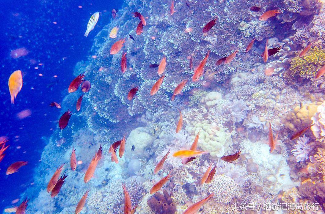 前任3林佳最后一个人出去旅游,前任3林佳走的片段