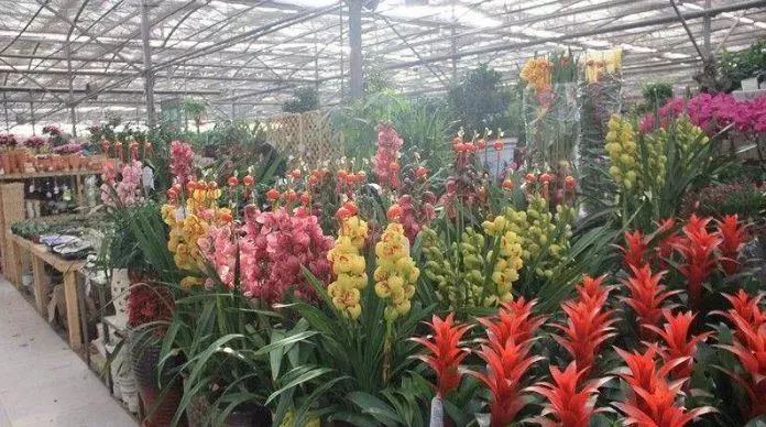 再上22天班，郑州人集体放假！做完这16件事，就过年啦！