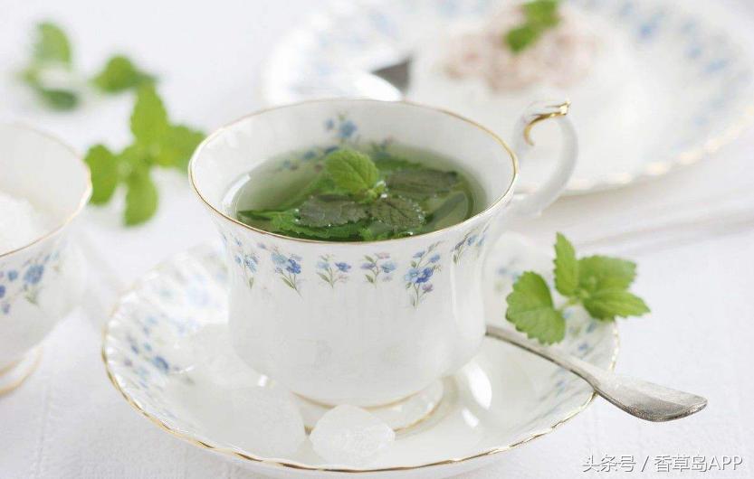 清凉薄荷中的薄荷,云南薄荷是哪种薄荷