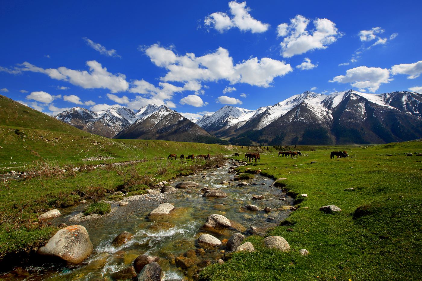 羊肉串怎么烤好吃窍门,羊肉串怎么烤才能软嫩多汁