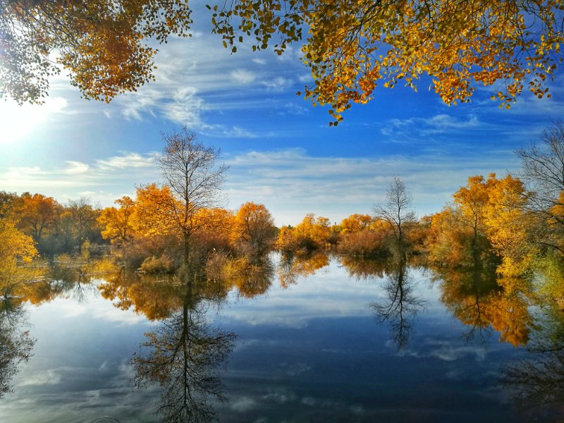 西北胡杨林旅游攻略,大西北环线胡杨林十日游