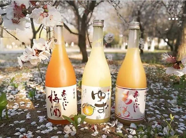 4款良心酒推荐,测评高颜值而又好看的酒